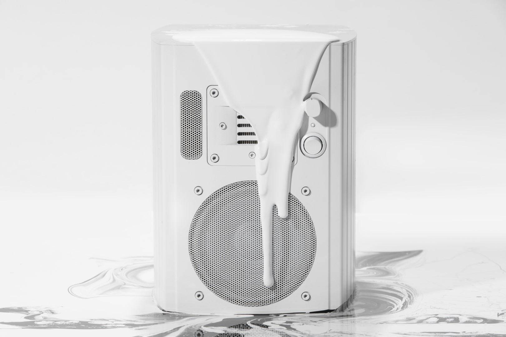 white paint on studio speaker , product photography for Moog Audio