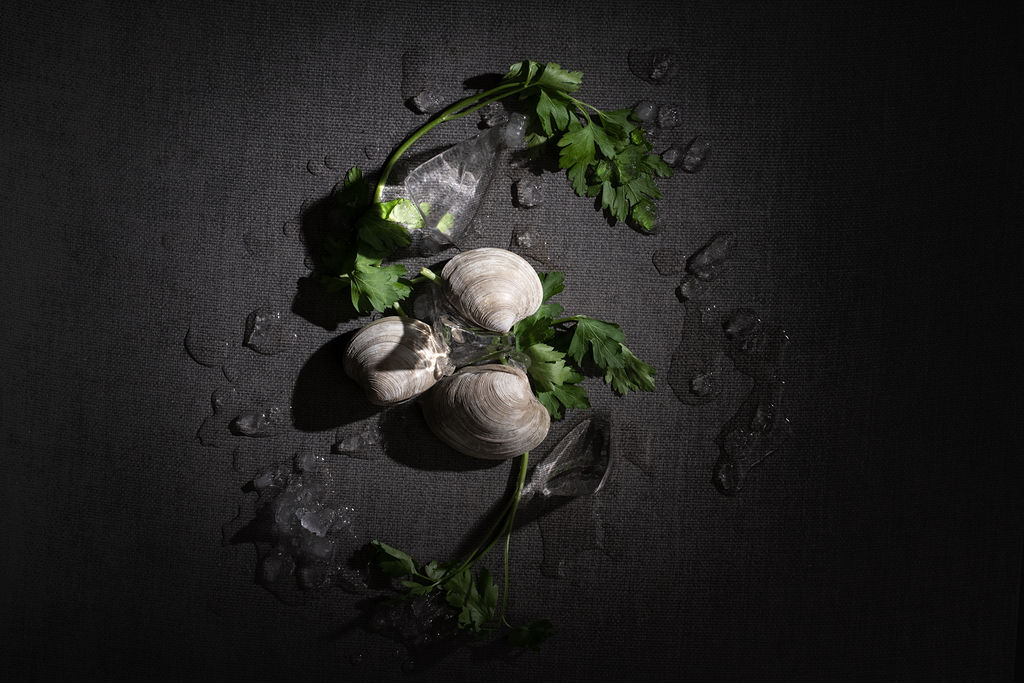 artistic overhead Culinary food photography low key photography